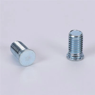 Self - clincing Screw